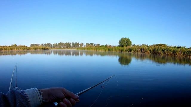 Рыбалка на поплавок и спиннинг в сентябре. смотреть онлайн