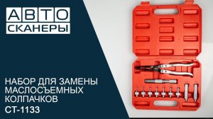 Обзор набора для замены маслосъемных колпачков CARTOOL CT-1133