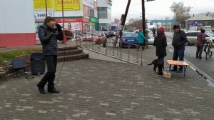 Денис Стальнов Яблони в старом саду