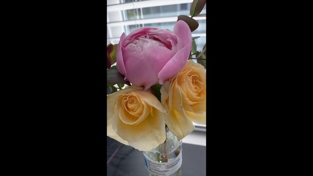 Bloom Peonies and Julia Child roses смотреть онлайн