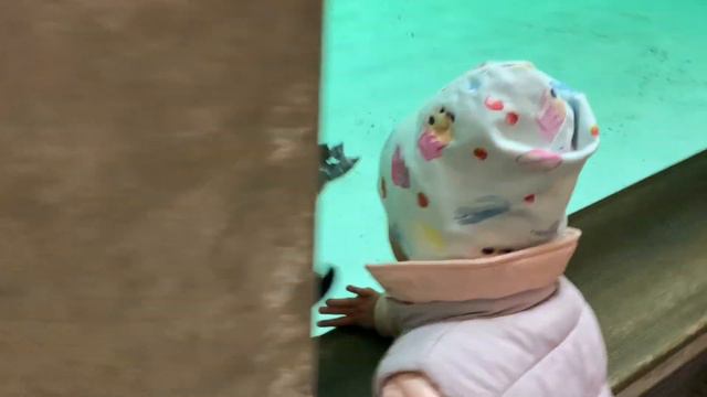 Новосибирский Зоопарк. Пингвины смотреть онлайн