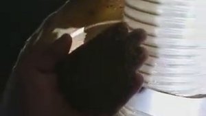 Очиститель зерна барабанный типа Луч