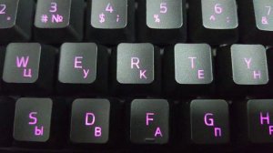 Демонстрация работы подсветки клавиатуры Razer Cynosa Lite