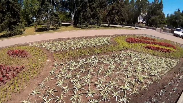 Узоры из цветов на большой клумбе. Красивые цветочные орнаменты