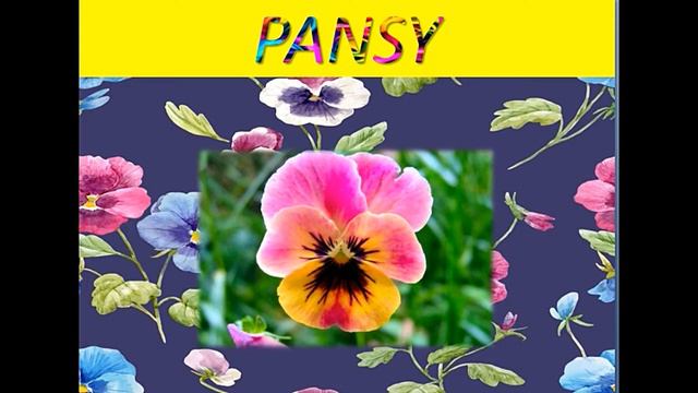 FLOWERS смотреть онлайн