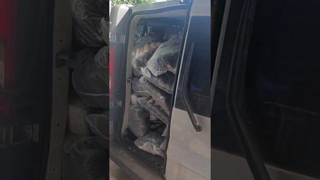 ЕХБ АНД. 13.07 Служение Церкви для людей смотреть онлайн