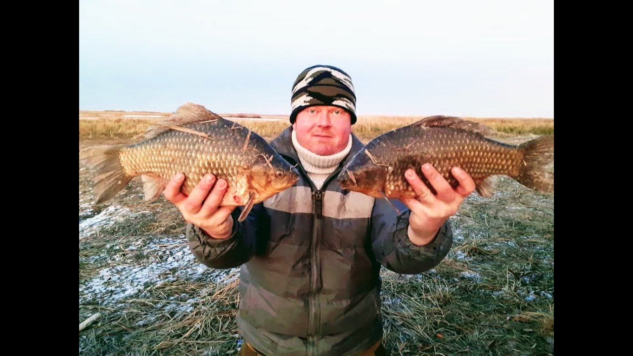 Карась на паук!!! Рыбалка на паук!!!Рыбалка на карася!!! смотреть онлайн