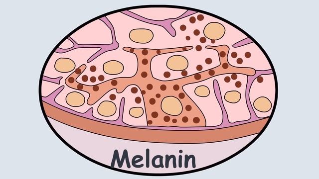 SCP-021 Подкожный Змей (Анимация SCP) смотреть онлайн