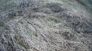 ПОИСК МЕТАЛЛА 2022. КОП МЕТАЛЛА В ПОЛЕ. КОП ЧЕРМЕТА № 73.