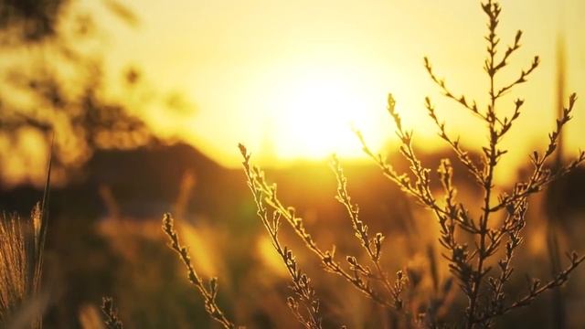 Как ОБРЕСТИ истинное СЧАСТЬЕ находясь в ОДИНОЧЕСТВЕ? смотреть онлайн