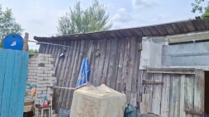 наши будни на даче