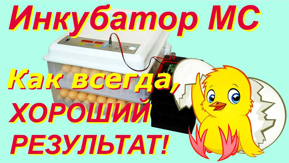 Выведение цыплят в инкубаторе МС-120. Эксперимент! ИНКУБАЦИЯ ПРИ НИЗКОЙ НАРУЖНОЙ.mp4