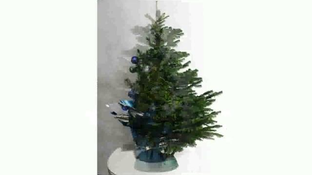 Купить Живую Елку смотреть онлайн