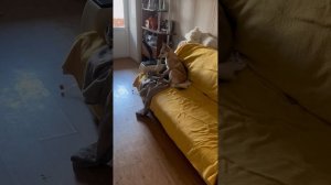 ПЕРВЫЕ ПОЛГОДА..