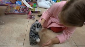 Выгребли ВСЕ новые игрушки из кладовки Катя и Макс нашли прикольные Кошечку и Ди