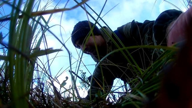 Прогулка по лесу, (сбор клюквы 2021) смотреть онлайн