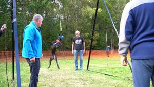 Чемпионат по питстафф многоборью "Осенний Марафон 2019". Pitbull competition "Autumn Marathon 2019"