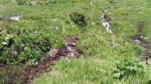 Приэльбрусье. Эко тропа к высокогорному озеру Донгуз-Орункель на высоте 3100 метров