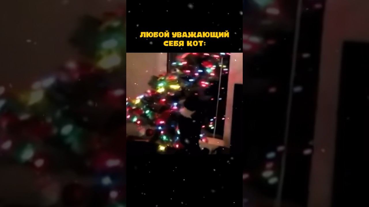 У кого также? #shorts смотреть онлайн