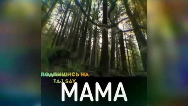 Моя Мама лучшая на свете