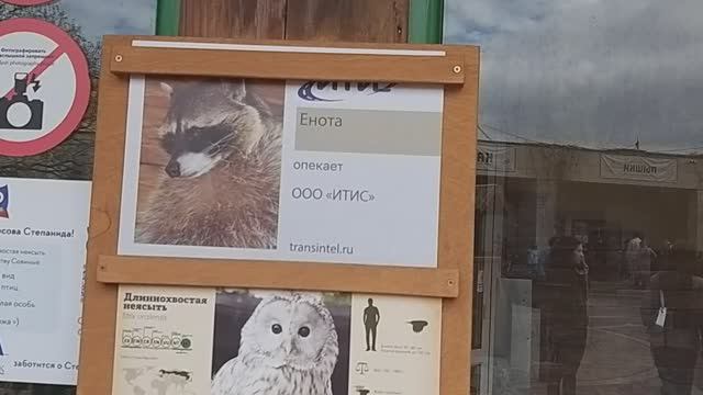 Ленинградский зоопарк 13 апреля 2024 год