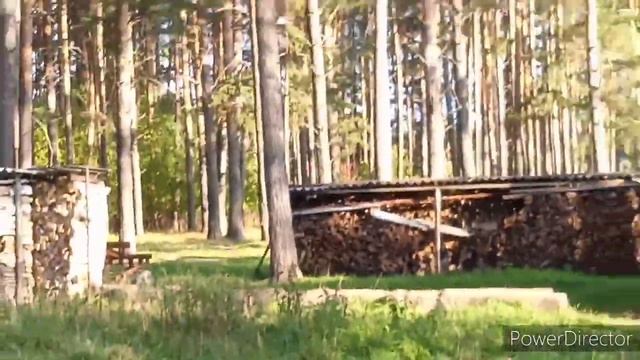 Прятки в лесу на 3 камеры (я иду искать) смотреть онлайн