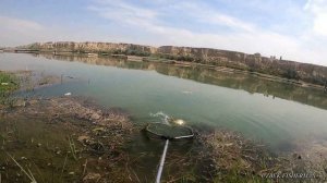 РЫБАЛКА В УЗБЕКИСТАНЕ. ВОТ ЭТО РЫБАЛКА С НОЧЕВКОЙ НА СЫРДАРЬЕ. БАЛИК ОВИ СИРДАРЁ. #catching_fish