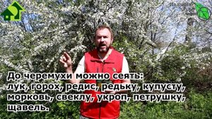 НЕ ТОРОПИТЕСЬ СЕЯТЬ В МАЕ! Важная дата ДО и ПОСЛЕ. Какие семена сеять и когда высаживать рассаду.