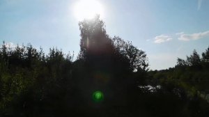 Старица реки Кондома