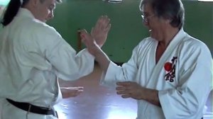 Илья Йорга объясняет форму ката ВАШИНОМА | WASHINOMA - мастерская ката фудокан карате-до