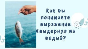17. Изложение Чарушин кот Епифан