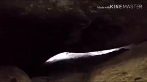 Мухамад салалохи алайхи васалам хакида