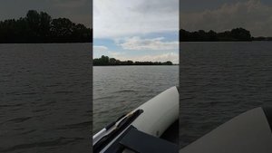 sea-pro 5. 4такта