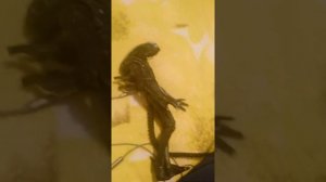 ОБЗОР НА ФИГУРКУ ЧУЖОГО