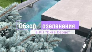 Обзор озеленения в КП "Вита Верде"