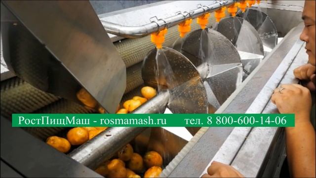 Машины щеточные для мойки корнеплодов GB2600 от РостПищМаш