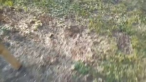 Осенняя подкормка саженцев яблони и груши.