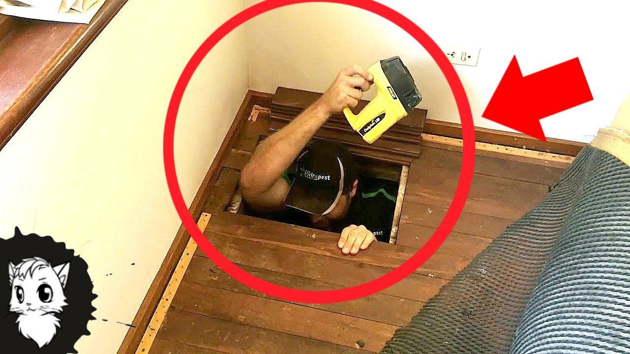 ЭТИ ЛЮДИ БЫЛИ В ШОКЕ КОГДА НАШЛИ ЭТО В СВОЕМ ДОМЕ [Белый кот] смотреть онлайн