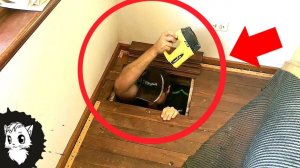 ЭТИ ЛЮДИ БЫЛИ В ШОКЕ КОГДА НАШЛИ ЭТО В СВОЕМ ДОМЕ [Белый кот]