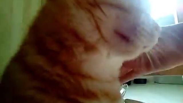 Рыжик смотреть онлайн