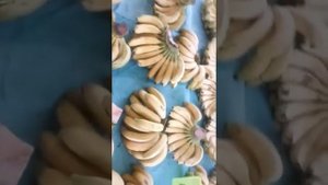 ДаниэльКая и Сиде Турция Отдых!Чолаклы Базар