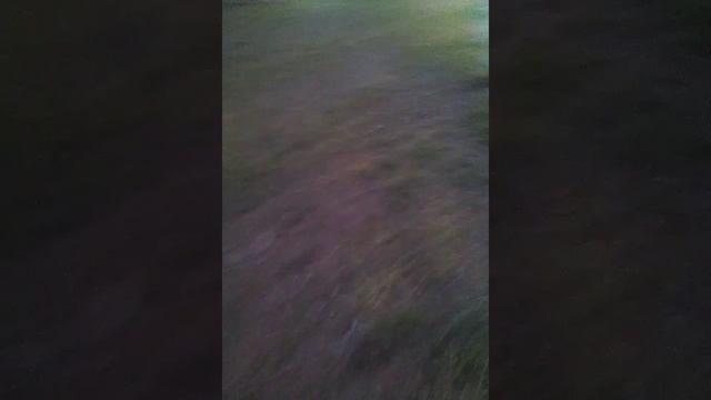 идём на лестницу! смотреть онлайн