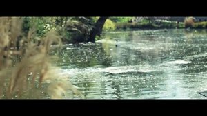 БОТАНИКА. СИСТЕМАТИКА. 5 самых красивых оранжерей мира