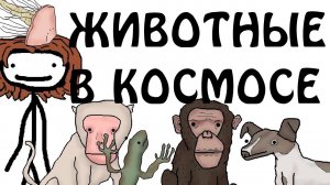 "Животные в космосе" - Академия Сэма О'Нэллы (Русская Озвучка Broccoli)