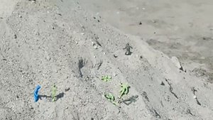 пластиковые солдатики