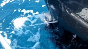 Работа двигателя сузуки DF90ATL на холостом ходу