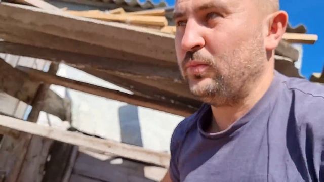 первые утята в сентябре) утки продолжают садится насиживать! смотреть онлайн