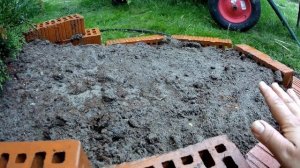 Можжевельники Dream Joy, Old Gold/ посадка ?? Английские РОЗЫ ??? весенней посадки из Питомников