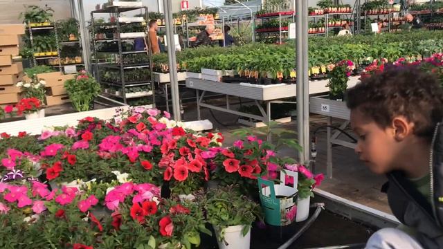 Spring Deco Flower Haul Come With Us Vlog