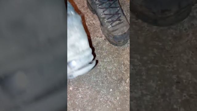 Lowa Elite Mointain GTX - after three years of service in Polish Armed Forces смотреть онлайн